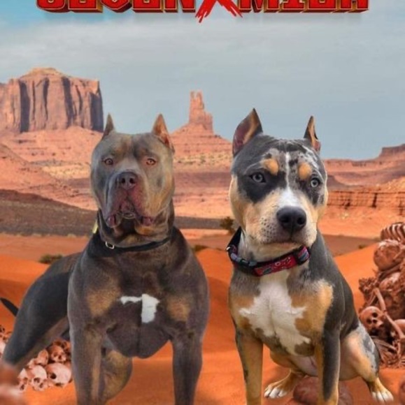 Meet your Posher, Rob - Picture 1 of 1